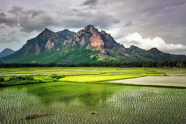 Kerala Countryside